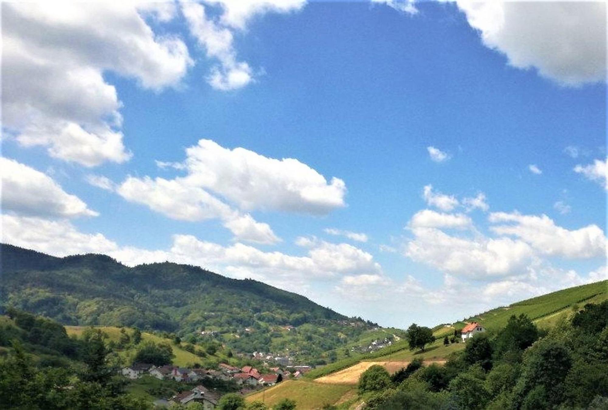 Ferienwohnung Wintereck Bühlertal Dış mekan fotoğraf