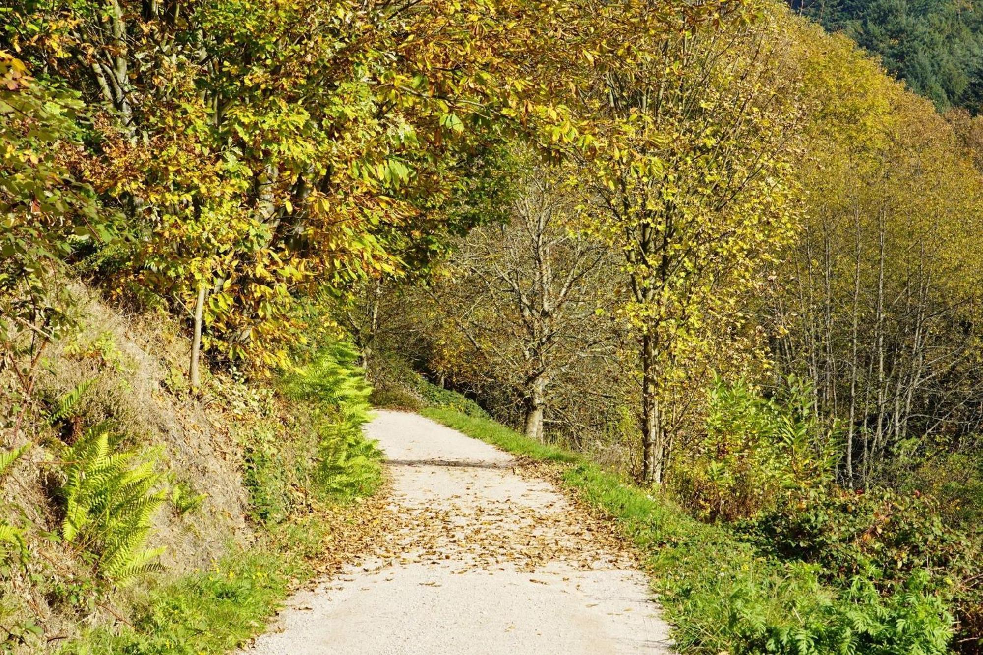 Ferienwohnung Wintereck Bühlertal Dış mekan fotoğraf