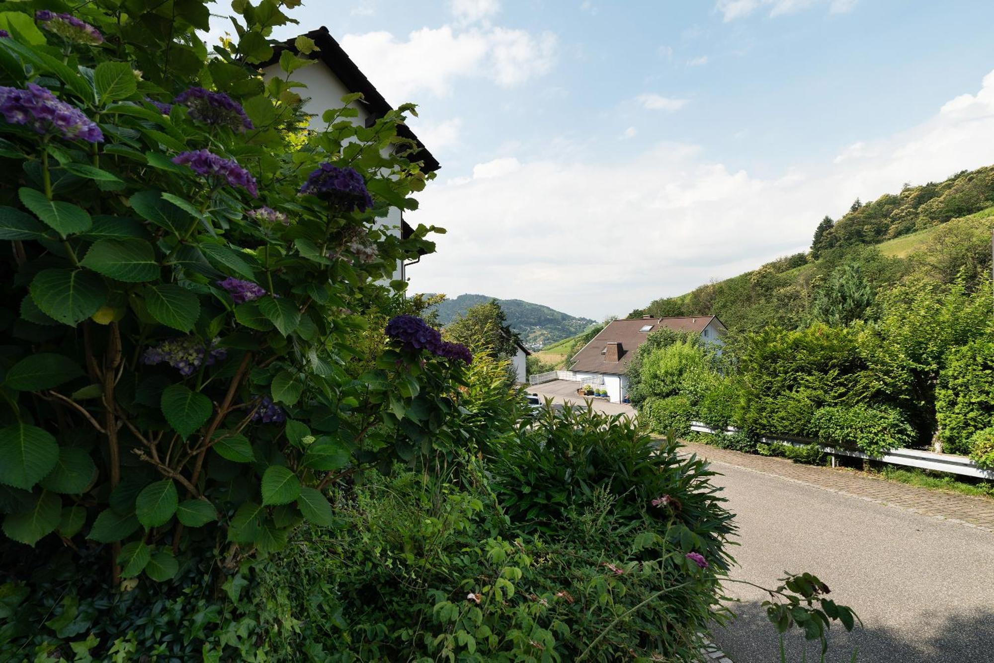 Ferienwohnung Wintereck Bühlertal Dış mekan fotoğraf