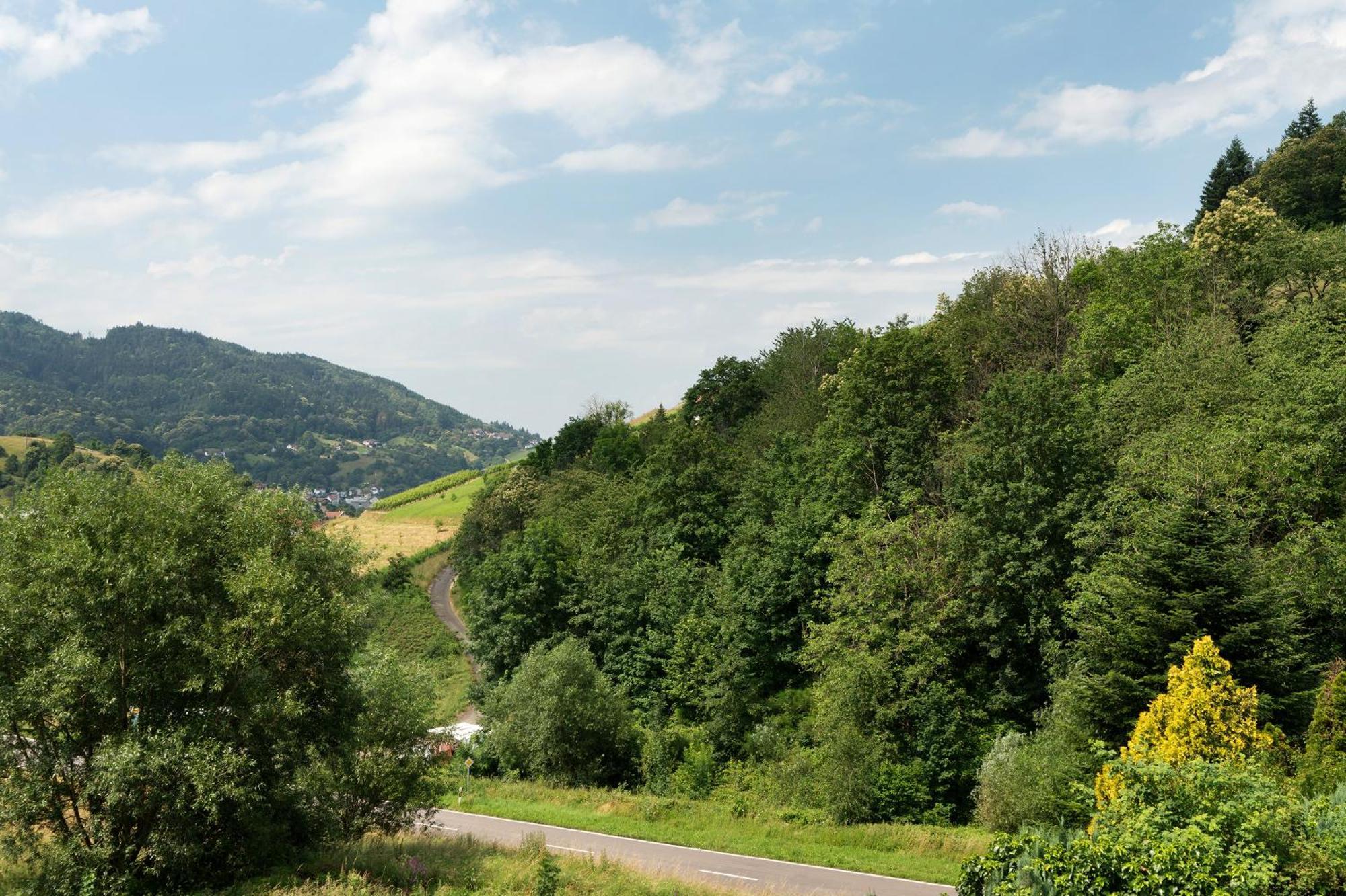 Ferienwohnung Wintereck Bühlertal Dış mekan fotoğraf