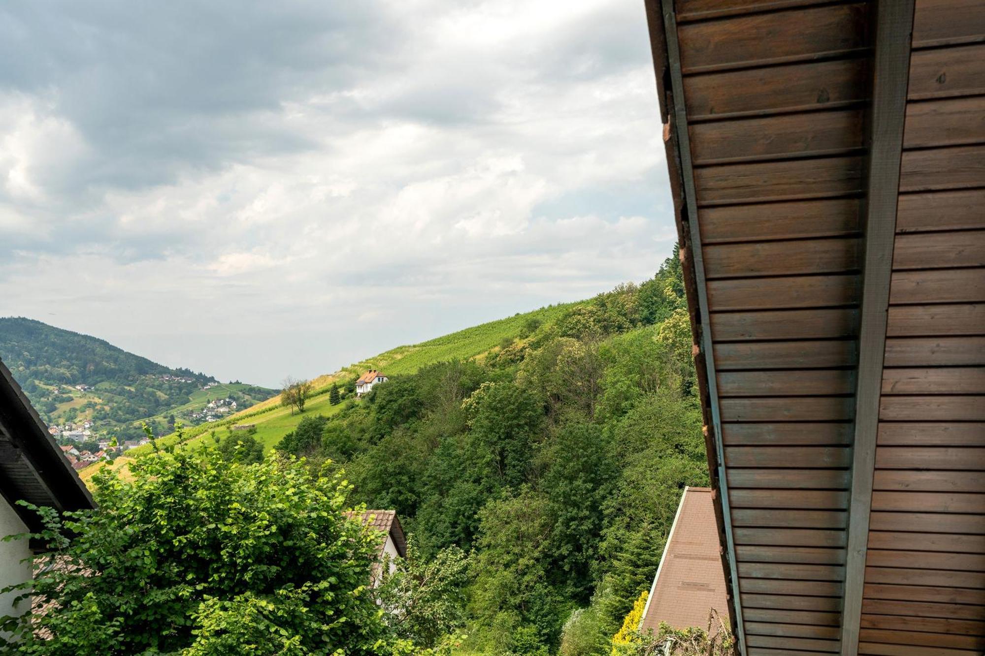 Ferienwohnung Wintereck Bühlertal Dış mekan fotoğraf