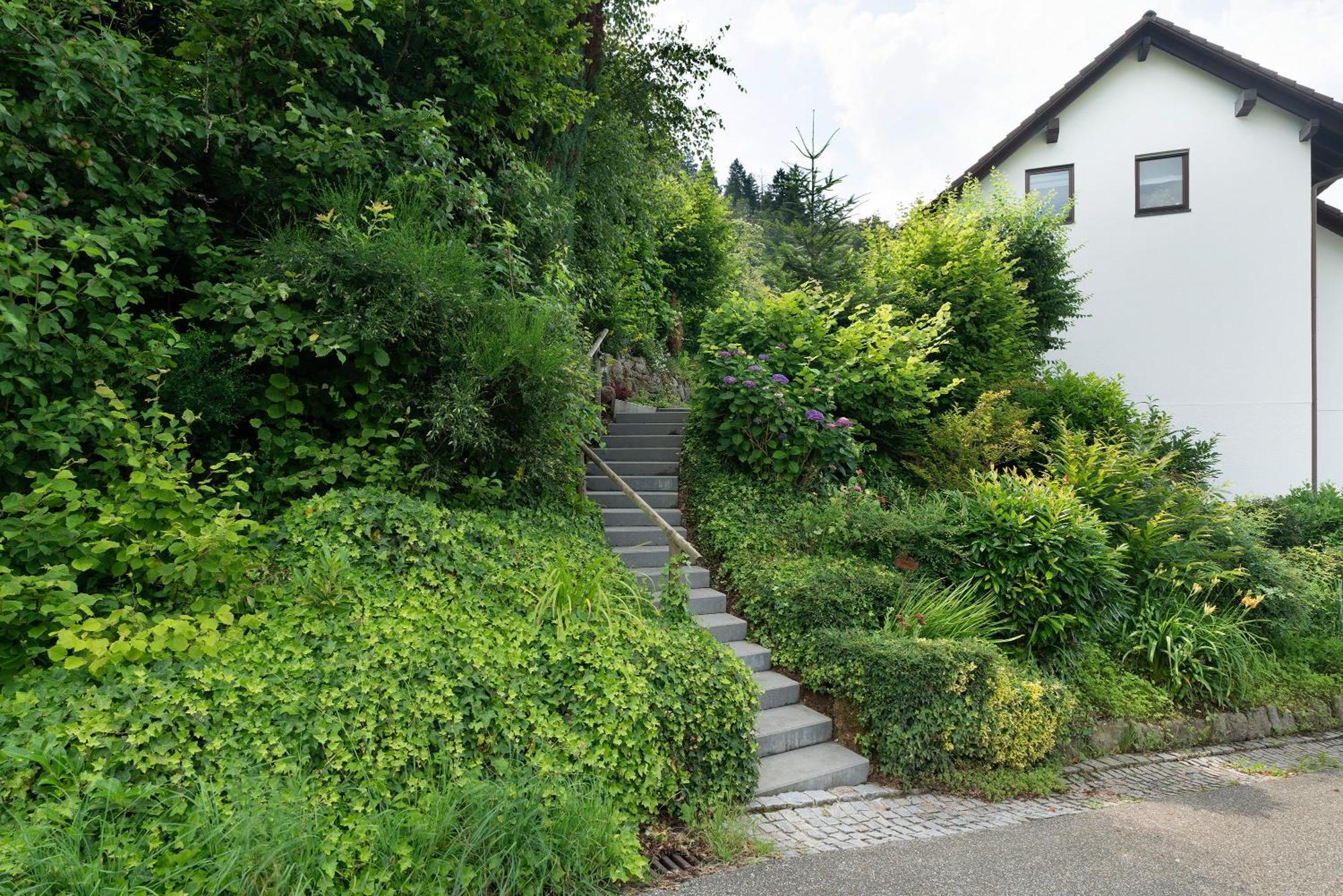 Ferienwohnung Wintereck Bühlertal Dış mekan fotoğraf